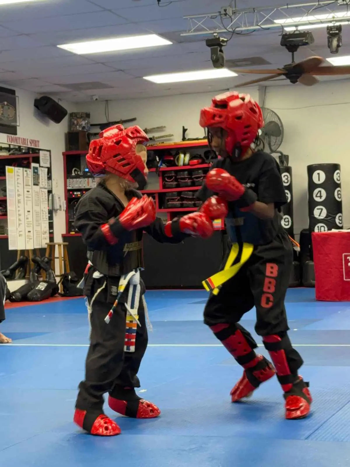 martial arts benefits for children physical fitness training