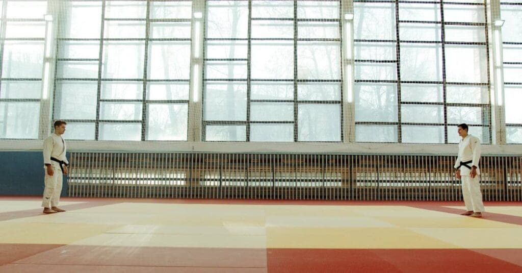 Martial artists facing each other in a training hall, showing martial arts basics